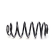 APEC Rear Coil Spring ACS2206