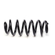 APEC Rear Coil Spring ACS2227