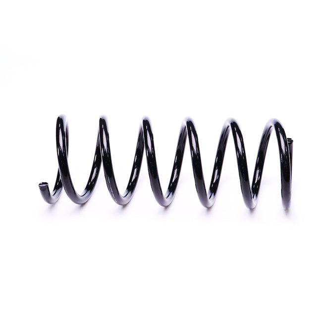 APEC Rear Coil Spring ACS2281