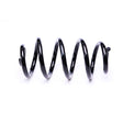 APEC Rear Coil Spring ACS2339