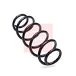 APEC Rear Coil Spring ACS2431