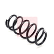 APEC Rear Coil Spring ACS2436