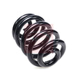 APEC Rear Coil Spring ACS2437