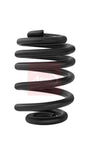 APEC Rear Coil Spring ACS2444