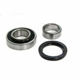 APEC Wheel Bearing Kit AWB1648