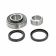 APEC Wheel Bearing Kit AWB1662