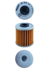 Mahle Oil Filter - Element OX810