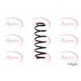 APEC Rear Coil Spring ACS1421