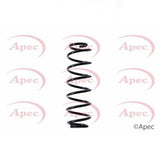 APEC Rear Coil Spring ACS1516