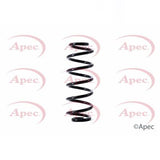 APEC Rear Coil Spring ACS1467