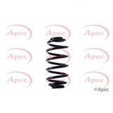 APEC Rear Coil Spring ACS1533