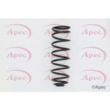 APEC Rear Coil Spring ACS1632