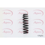 APEC Rear Coil Spring ACS1624