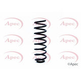 APEC Rear Coil Spring ACS1260
