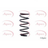 APEC Front Coil Spring ACS1398