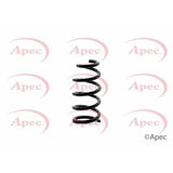 APEC Rear Coil Spring ACS1343