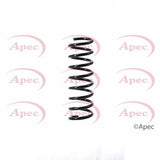 APEC Rear Coil Spring ACS1375