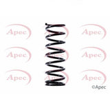 APEC Rear Coil Spring ACS1488