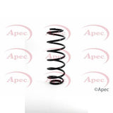 APEC Rear Coil Spring ACS1141