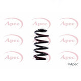 APEC Rear Coil Spring ACS1448